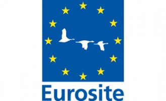Eurosite logo